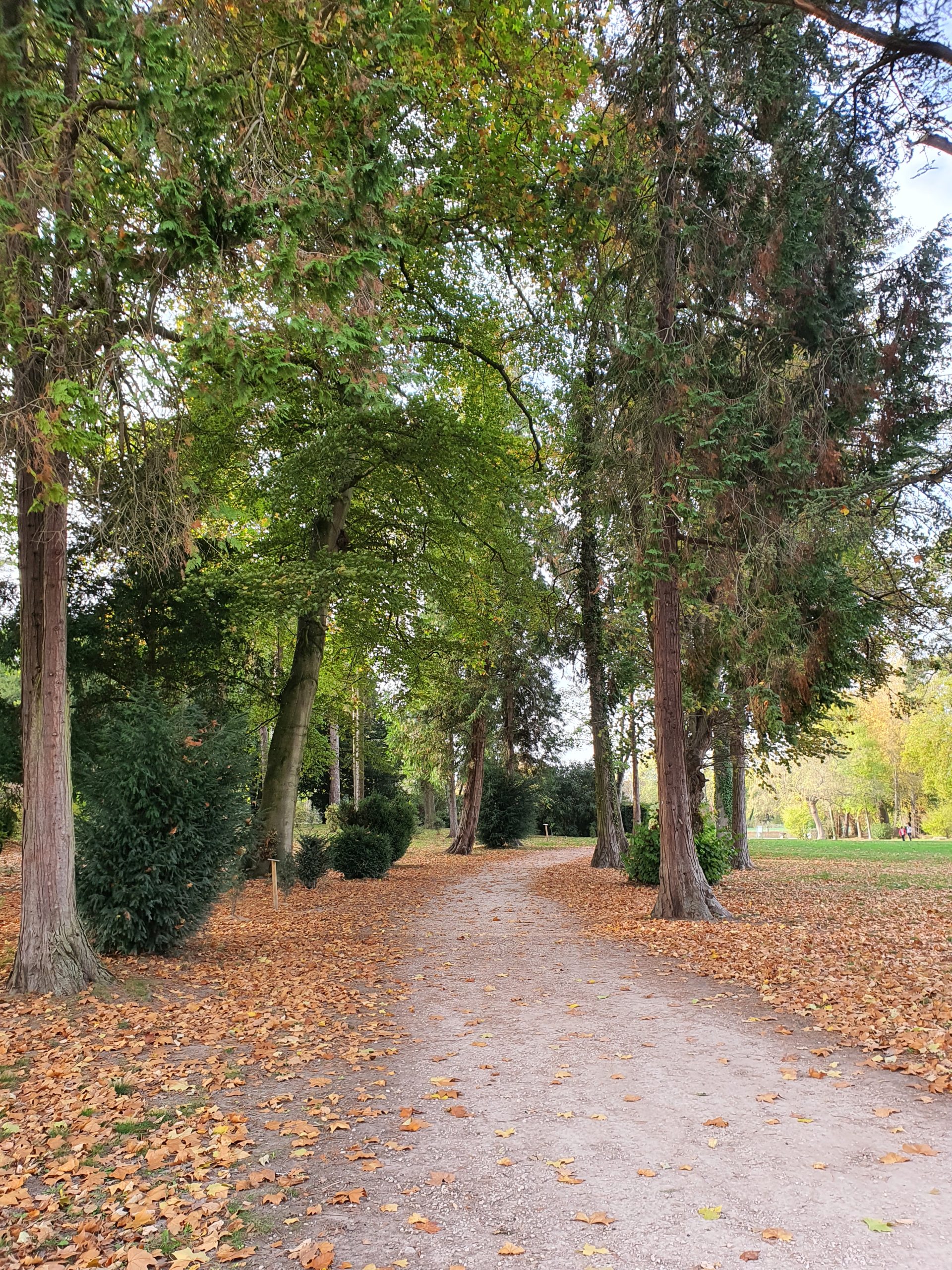 Le parc du Chateau De Chantilly et ses jardins Le parc du Chateau De Chantilly et ses jardins